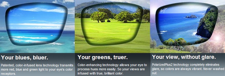 prada teddy sunglasses